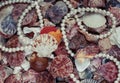 Natural beautiful sea background from many shells of different s