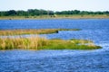 Louisiana Bayou Wetlands Royalty Free Stock Photo