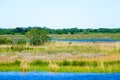 Louisiana Bayou Wetlands Royalty Free Stock Photo