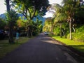 Natural Beautiful Tropical Sunny Morning On The Road With Trees And Mountain View Of The Resort At Pemuteran