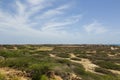 Natural beauty of Aruba. North coast Aruba Island. Royalty Free Stock Photo