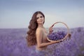 Natural beauty. Beautiful provence woman with basket flowers harvesting in lavender field at sunset. Attractive pretty girl with