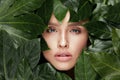 Natural Beauty. Beautiful Woman Face In Green Leaves. Royalty Free Stock Photo