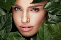 Natural Beauty. Beautiful Woman Face In Green Leaves. Royalty Free Stock Photo
