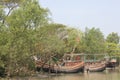 Natural Beauty of Bhola Island