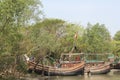 Natural Beauty of Bhola Island