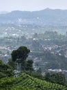 the natural beauty of Central Java amidst expanses of tea plantations Royalty Free Stock Photo