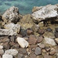 the natural beauty of coastal coral rocks