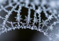 The natural beauty and complexity of snowflakes, reflecting the Royalty Free Stock Photo