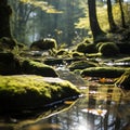 Natural beauty forest background with a huge log overgrown with green moss lying on the ground