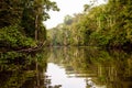 Natural beauty of the Kinbatangan river in the Borneon rainforest Royalty Free Stock Photo