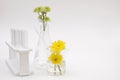 Herb green and yellow flower scientific equipment researched cosmetic Royalty Free Stock Photo