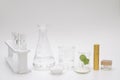 Natural beauty organic botany with herb leaves scientific equipment lab researched cosmetic concept Royalty Free Stock Photo