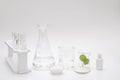 Natural beauty organic botany with herb leaves scientific equipment lab researched cosmetic concept Royalty Free Stock Photo