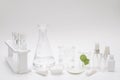 Natural beauty organic botany with herb leaves scientific equipment lab researched cosmetic concept Royalty Free Stock Photo