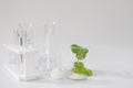 Natural beauty organic botany with herb leaves scientific equipment lab researched cosmetic concept Royalty Free Stock Photo