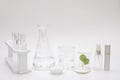 Natural beauty organic botany with herb leaves scientific equipment lab researched cosmetic concept Royalty Free Stock Photo