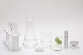 Natural beauty organic botany with herb leaves scientific equipment lab researched cosmetic concept Royalty Free Stock Photo