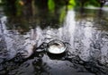 Natural beauty Raindrops Climate Water Rainydays Royalty Free Stock Photo