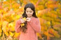 Natural beauty. Small girl wear autumn leaves in natural hair. Little child on natural landscape. Idyllic autumn nature