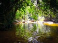 Natural Beauty Sri Lanka - Kanneliya Rain Forest