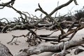 Florida Natural Wetlands Preserves