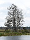 Florida Natural Wetlands Preserves