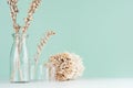 Natural beige organic accessories for interior in trendy green mint menthe interior - dried plants, flowers in  bottles, twigs. Royalty Free Stock Photo