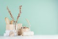 Natural beige wood cosmetics accessories in green mint menthe bathroom interior - bath sponge, soap, dry plant, glass bottles. Royalty Free Stock Photo