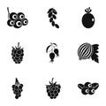 Natural berries icon set, simple style