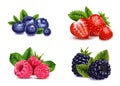 Natural Berries Realistic Set