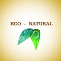 Natural bio design Royalty Free Stock Photo