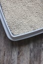 Natural biodegradable tofu pellet litter in cat litterbox Royalty Free Stock Photo