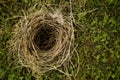 Natural Birds Nest