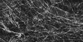 Natural black marble with white vance, high resolution marble Royalty Free Stock Photo