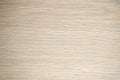 Natural bleached oak, flat surface of light wood on the cut Royalty Free Stock Photo