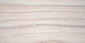 Natural bleached wood texture pattern closeup. Background. Close up shot Royalty Free Stock Photo