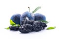 Natural blue plums and dried prunes with leaves Royalty Free Stock Photo
