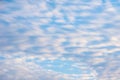 Natural blue sky background with beautiful puffy cumulus clouds illuminated by the pink light of the setting sun Royalty Free Stock Photo
