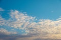 Natural blue sky background with beautiful puffy white cumulus clouds illuminated by the pink light of setting sun Royalty Free Stock Photo