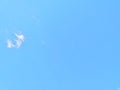 The natural of blue sky with cloud in the morning.Sky in the day time,on a clear day,and a thin white cloud drifting along the win Royalty Free Stock Photo