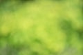 Natural blurred greenery, tree leaves defocused. Defocus lights of plants Royalty Free Stock Photo