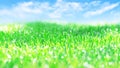 Natural blurred summer spring background. Juicy fresh green grass against the blue sky with clouds. Royalty Free Stock Photo