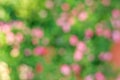 Natural bokeh background