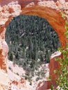 Natural Bridge, Bryce Canyon National Park, Utah Royalty Free Stock Photo