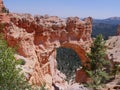 Natural Bridge, Bryce Canyon National Park, Utah Royalty Free Stock Photo