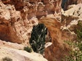 Natural Bridge, Bryce Canyon National Park, Utah Royalty Free Stock Photo