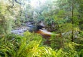 Natural bridge in New Zealand