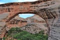 Natural Bridges National Monument with Sipapu Bridge at Armstrong Canyon, Southwest Desert, Utah Royalty Free Stock Photo