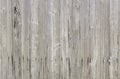 Natural bright grey barn wood wall. Wall texture background pattern.